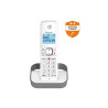 DECT F860 SOLO GRIS