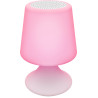 Lampe-enceinte lumineuse sans fil ColorLight