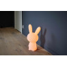 Enceinte sans fil lumineuse Lumin’us (lapin) BTLSRABBIT BIGBEN