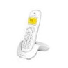 DECT C250 BLANC