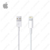 APPLE Câble Lightning vers USB (2m)