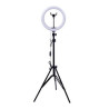 XQISIT Selfie Ring Light 10" EU w/ 150cm Tripod Black